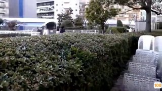 一区二区三区高清不卡⭕❌欧美精品A片XXX⭕❌欧美性猛交XXXX乱大交极品-无码av电影在线观看不卡